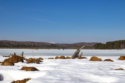 Scenic view of lake against clear blue sky during winter