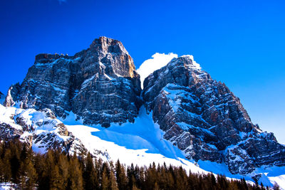 Panoramic view of pine trees against sky during winter