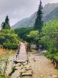 Rear view of man walking on mountain