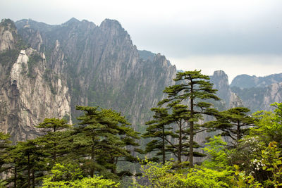 Scenic view of mountains