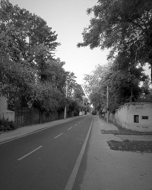 the way forward, road, tree, transportation, diminishing perspective, road marking, vanishing point, street, clear sky, empty road, asphalt, empty, long, building exterior, treelined, day, outdoors, country road, built structure, sky