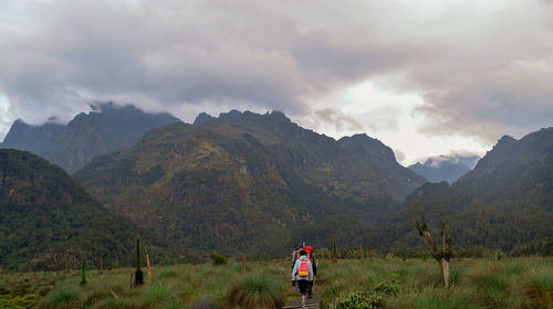 A group of hikers in the panoramic mountain landscapes in rwenzori mountains, uganda