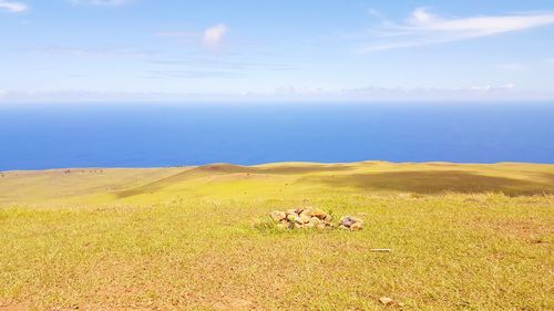 Scenic view of field by sea against sky