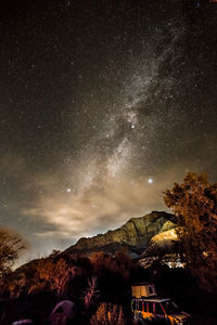 Low angle view of trees against sky at night