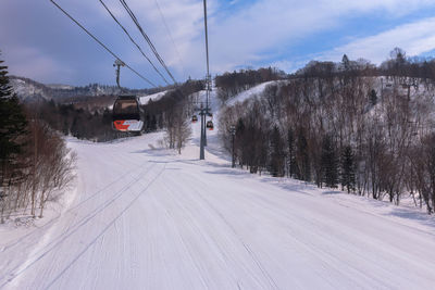 Road amidst snow covered trees against sky