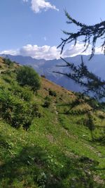 Scenic view of landscape against sky