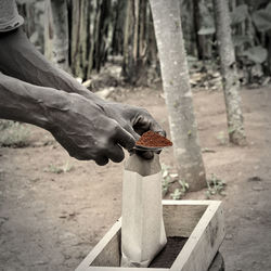 Close-up of human hand