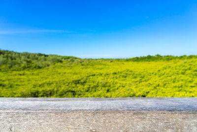 Scenic view of landscape against blue sky