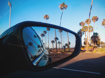 Reflection of palm trees on side-view car mirror