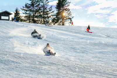 There is a toboggan lift in the winter sports area. winter fun for families in the sunshine.