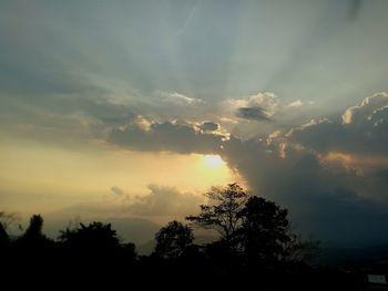 Silhouette trees against sky during sunset