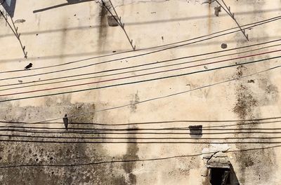 Low angle view of birds on electricity pylon against sky