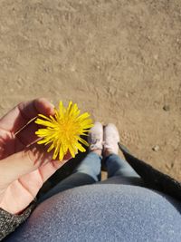 Low section of woman holding yellow flower