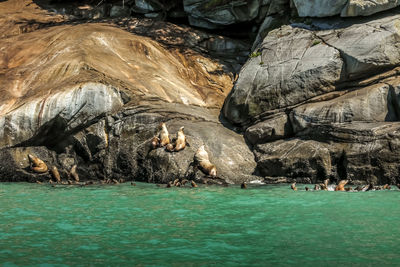 Scenic view of sea and rock formation