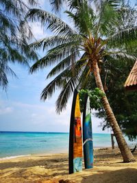 Palm trees on beach against sky