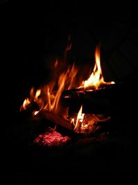 Close-up of lit bonfire in the dark