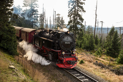 Train on railroad track amidst trees