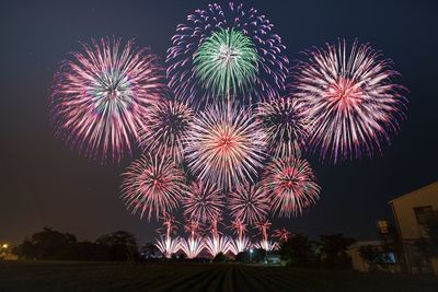 Low angle view of firework display at night