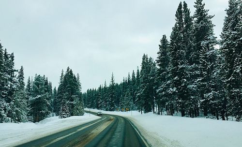 Snow covered road amidst trees against sky