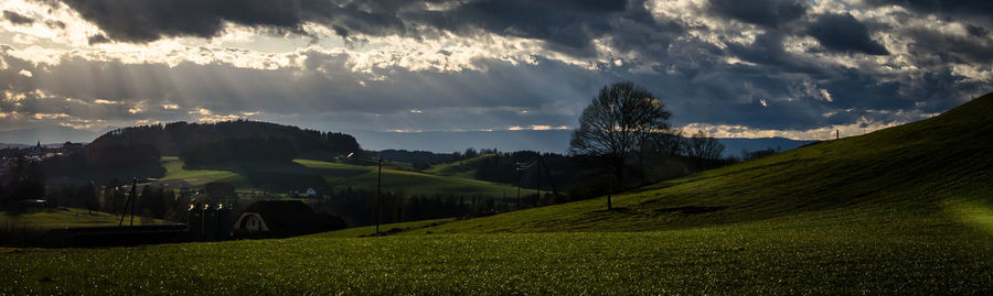 Scenic view of grassy field against sky