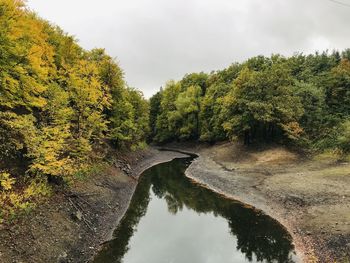 Scenic view of river amidst trees against sky