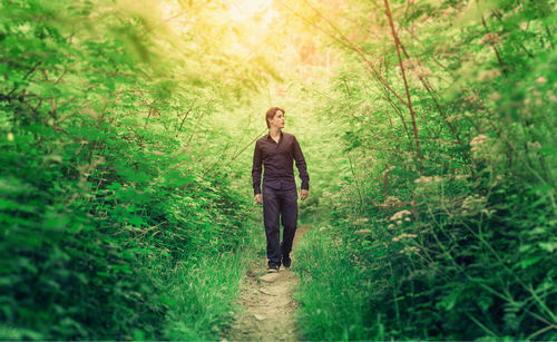 Man walking on footpath in forest