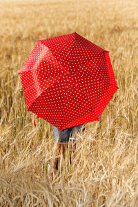 Rear view of woman holding umbrella while standing field