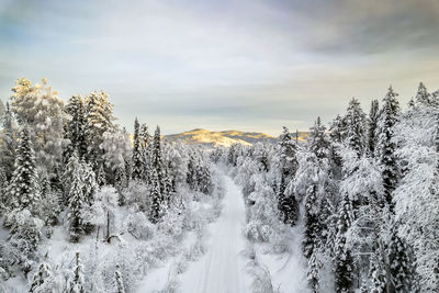 Scenic view of waterfall against sky during winter