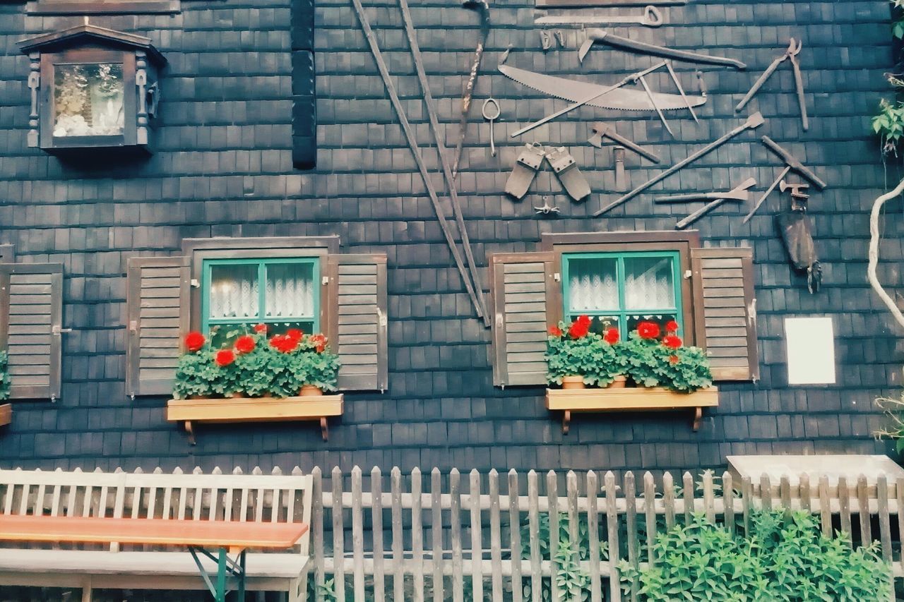 building exterior, architecture, window, flower, brick wall, outdoors, built structure, house, no people, window box, city, day