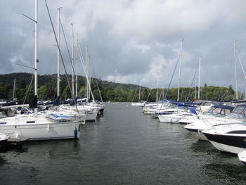 Sailboats moored at harbor against sky