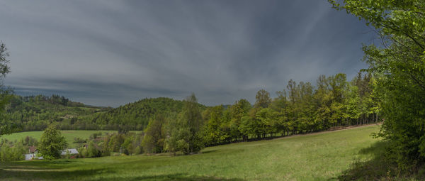 Trees on field against sky