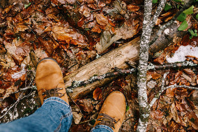 Low section of person wearing shoes on ground