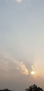 Low angle view of silhouette trees against sky at sunset