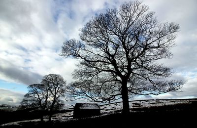 Bare tree against sky during winter