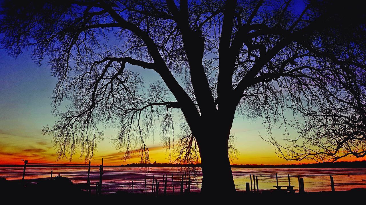 sunset, silhouette, tree, scenics, beauty in nature, nature, tranquil scene, sky, tranquility, no people, water, sea, bare tree, outdoors, branch, day