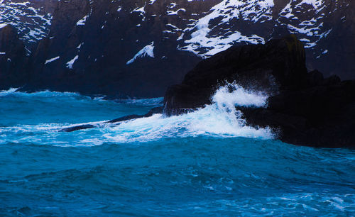 Scenic view of sea shore