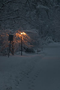 Snow covered street lights and trees on road at night