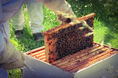 High angle view of people standing next to apiary