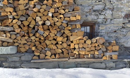 Stack of logs in forest