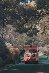 Car on road by trees in city