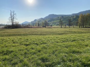 Scenic view of field against sky