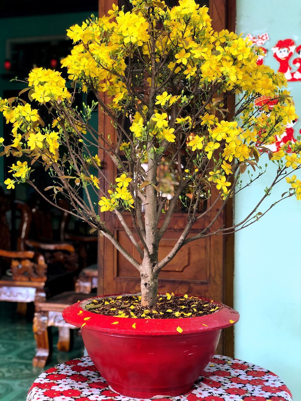 CLOSE-UP OF POTTED PLANT ON TABLE AGAINST YELLOW FLOWER