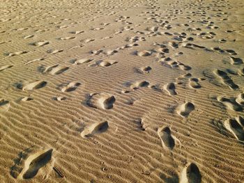 Close-up of footprints on sand at beach