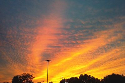 Low angle view of silhouette trees against sky at sunset