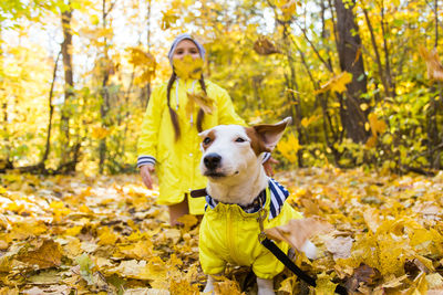 Dog with yellow leaves during autumn