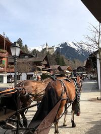 Horse cart on mountain against sky