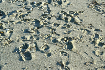 High angle view of footprints on sand at beach