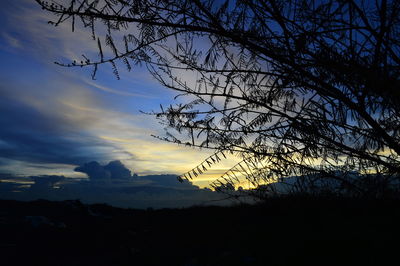 Low angle view of silhouette bare trees against sky during sunset