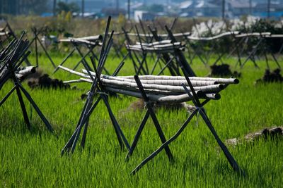 Structures on rice field