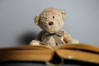 Close-up of stuffed toy on book